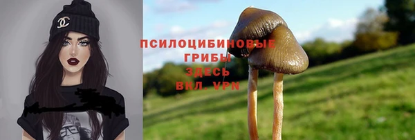 твердый Волосово