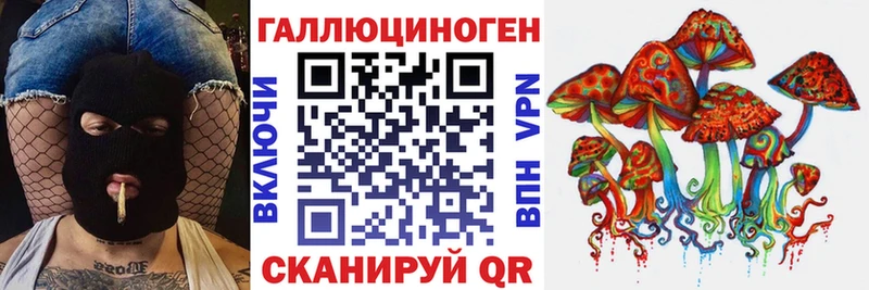 наркота  Сусуман  Галлюциногенные грибы прущие грибы 